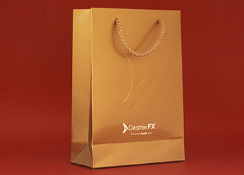 DESTEK FX - Kağıt Torba